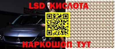 прущие грибы Можайск