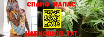 прущие грибы Можайск