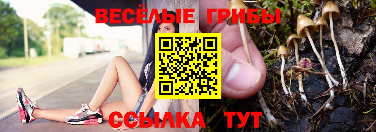 Саратов  Псилоцибиновые грибы мухоморы  Вход с VPN 